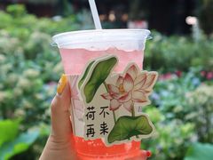 -花之城