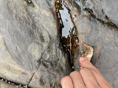 -台山川岛旅游度假区