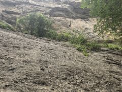 -陕西省红河谷森林公园