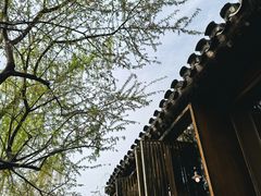 -春风习习