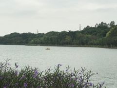 -南国桃园旅游度假区