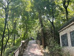 -井塘古村