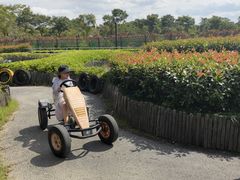 -季高兔窝窝亲子园(上海薰衣草公园店)