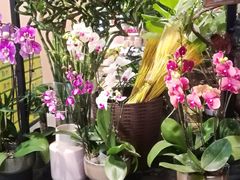 -7fresh七鲜(大族广场店)