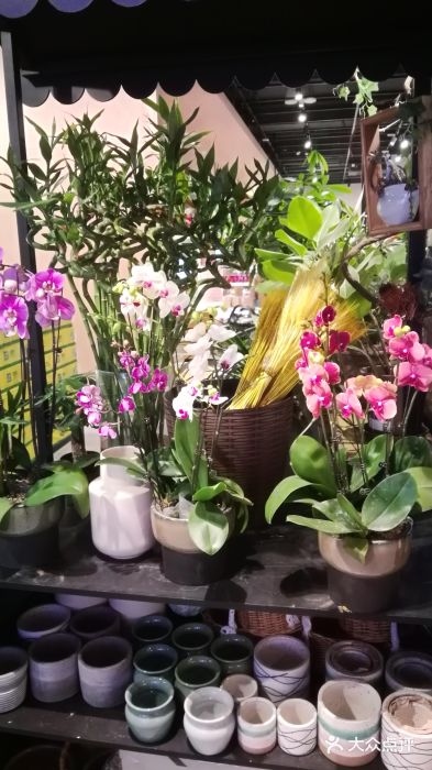 7fresh七鲜(大族广场店)图片