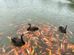 -春晖园度假酒店温泉