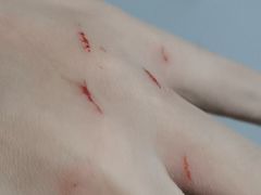 -瑞鹏宠物医院·爱宠堂·骨外专科(西荷分院)