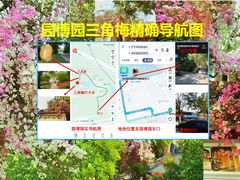 -深圳国际园林花卉博览园