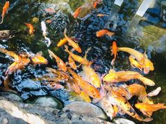 -上海大自然野生昆虫馆(东方明珠·爬宠昆虫探索中心)