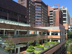-香港大学