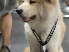 -YCHL Studios健身工作室(市二宫店)