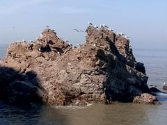 -海驴岛(荣成市)