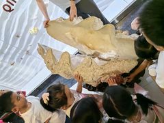 -青岛贝壳博物馆