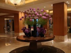 -乐天免税店(明洞店)