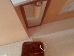 -苏州香格里拉大酒店