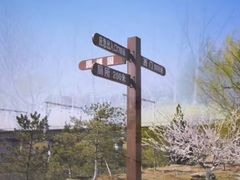 -永定河休闲森林公园