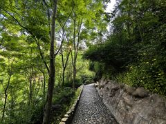 -重庆彩云湖湿地公园