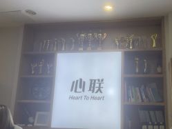 -心联形象设计·流星染