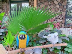 -南宫五洲植物乐园