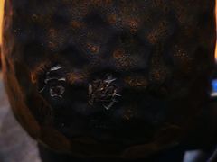 -萤火虫咖啡(后海店)