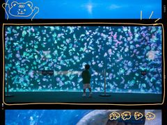 -珠海长隆海洋王国
