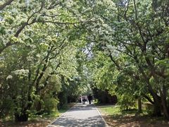 -国家植物园南园