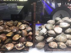 -加餐海鲜自助(宝龙一城店)