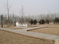 -东郊湿地公园