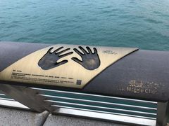 -星光大道