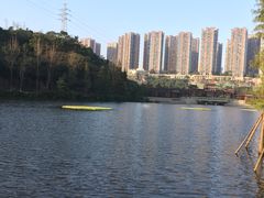 -重庆彩云湖湿地公园