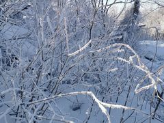 -中旅松花湖滑雪场