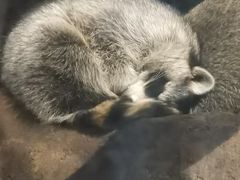 -波塞冬旅游度假区