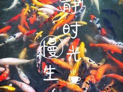 -北湖公园