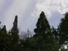 -东明山森林公园