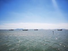 -贡湖湾湿地公园