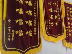 -中农国际动物医院24小时·猫科·骨科·急重症中心