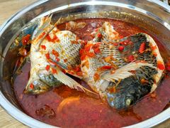 -风鑫铃罗非鱼(道沟店)