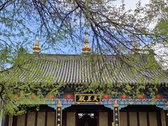 -护国法轮寺