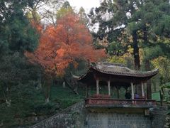 -莫干山风景区