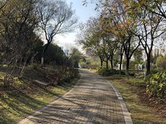 -白塘生态植物园