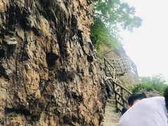 -天女山森林公园