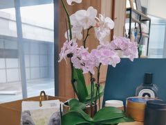 -名创优品(山东青岛华润万象城店)