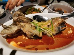 清蒸老虎斑-徐记海鲜(汉城湖|太奥店)