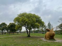 -嘉北郊野公园