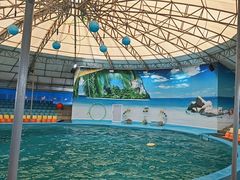 -尼莫海豚馆