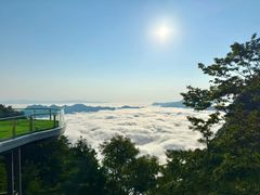-秦岭天竺山景区
