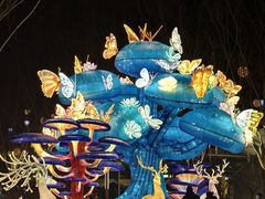 -北戴河集发农业梦想王国