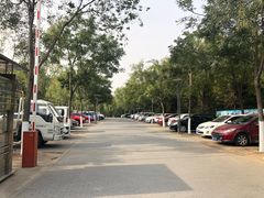 -大兴滨河森林公园