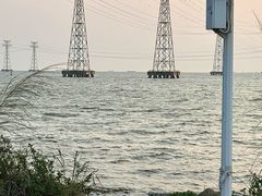 -宝安西湾红树林湿地公园