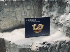 -金沙遗址博物馆